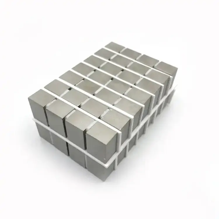 China Radial Samarium Cobalt (SmCo) Permanent Magnet