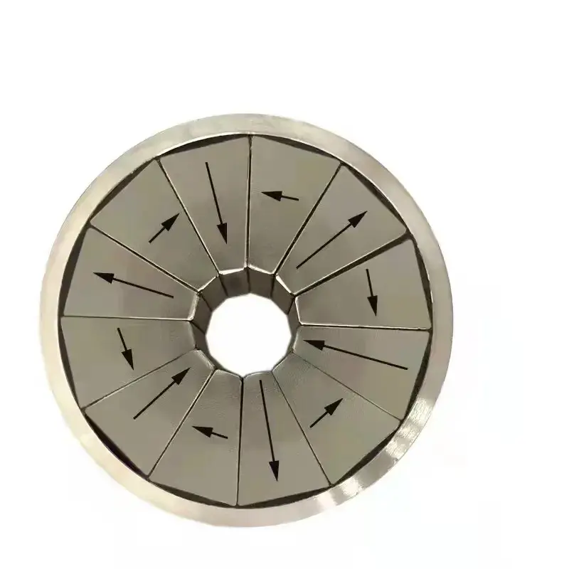 Strong Halbach Array Specialized Magnetic Assembly For Motor