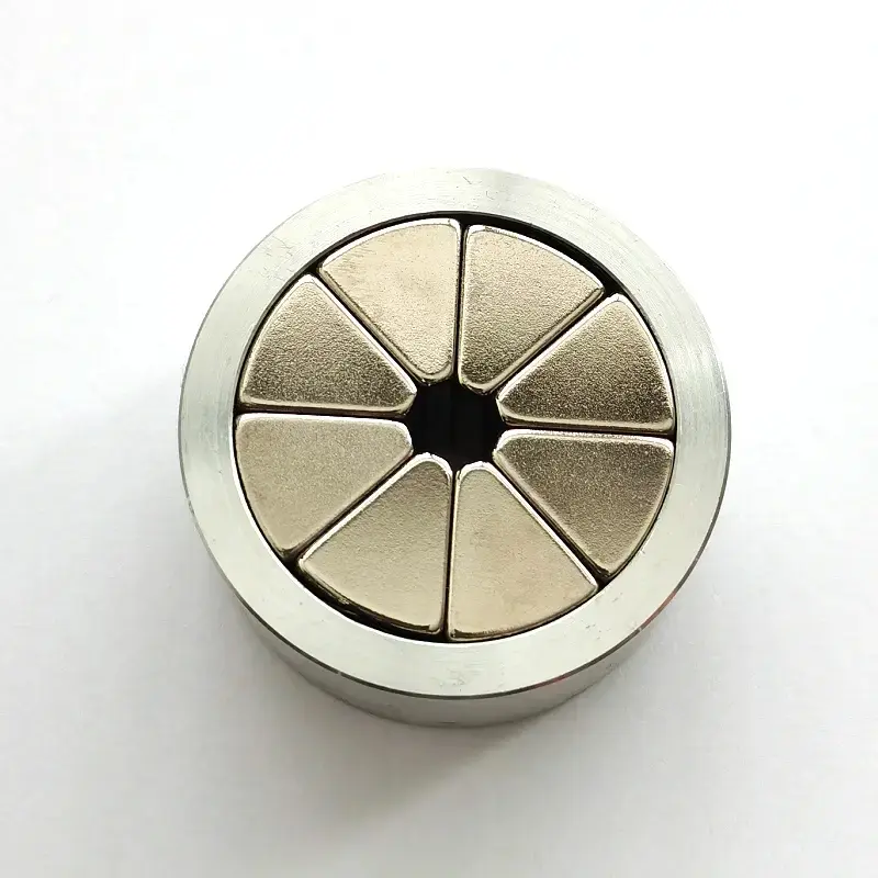 Strong Halbach Array Specialized Magnetic Assembly For Motor