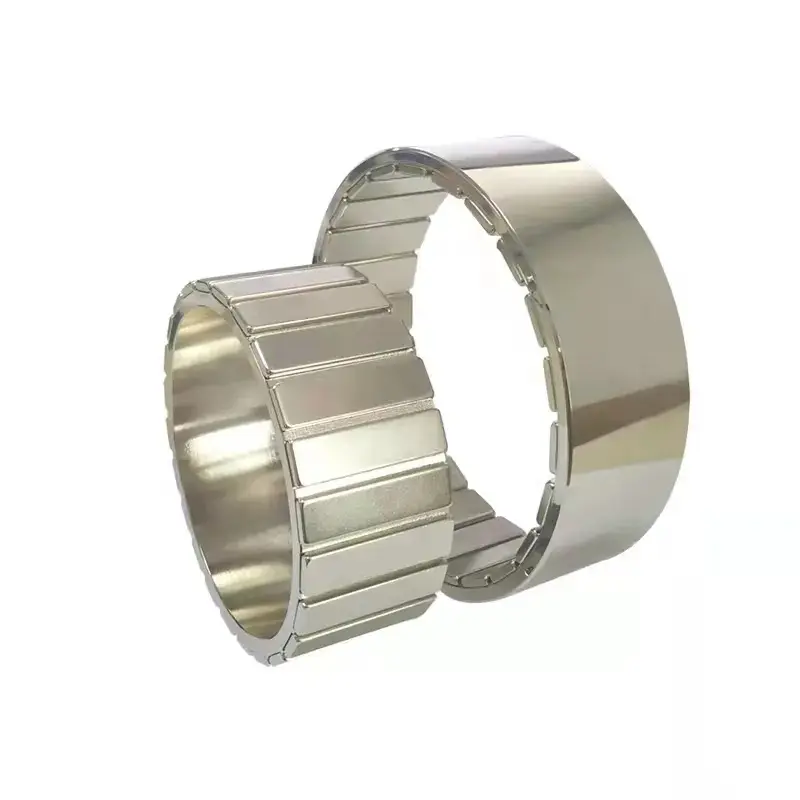 Strong Halbach Array Specialized Magnetic Assembly For Motor