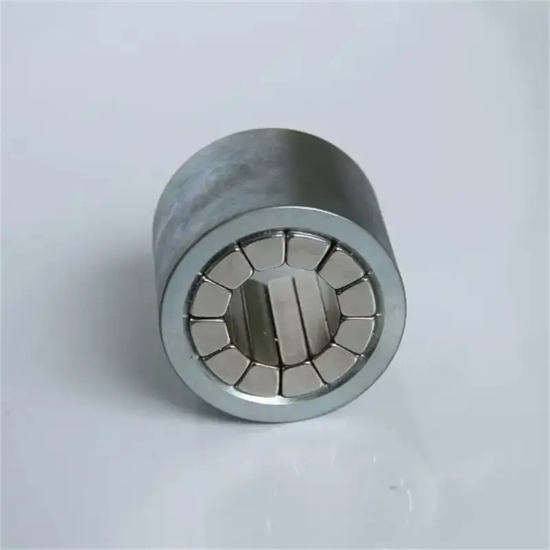 Custom Stepping Motor Magnetic Parts Magnet Assemb03