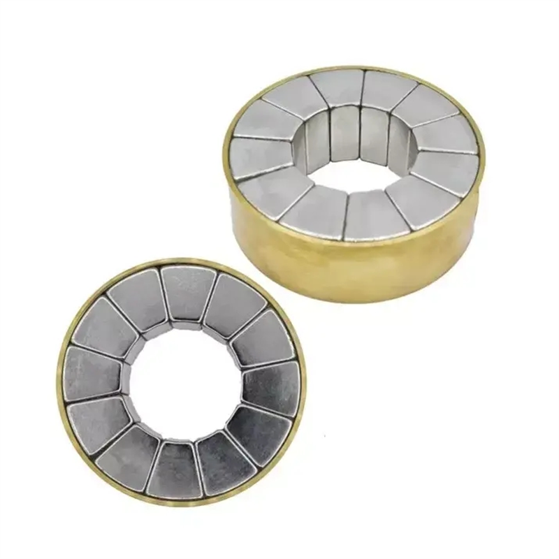 Strong Halbach Array Specialized Magnetic Assembly For Motor