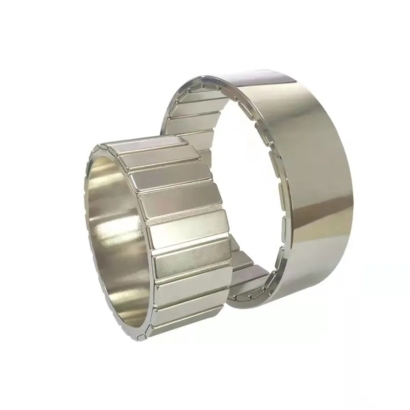 Strong Halbach Array Specialized Magnetic Assembly For Motor