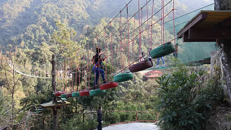 图片4